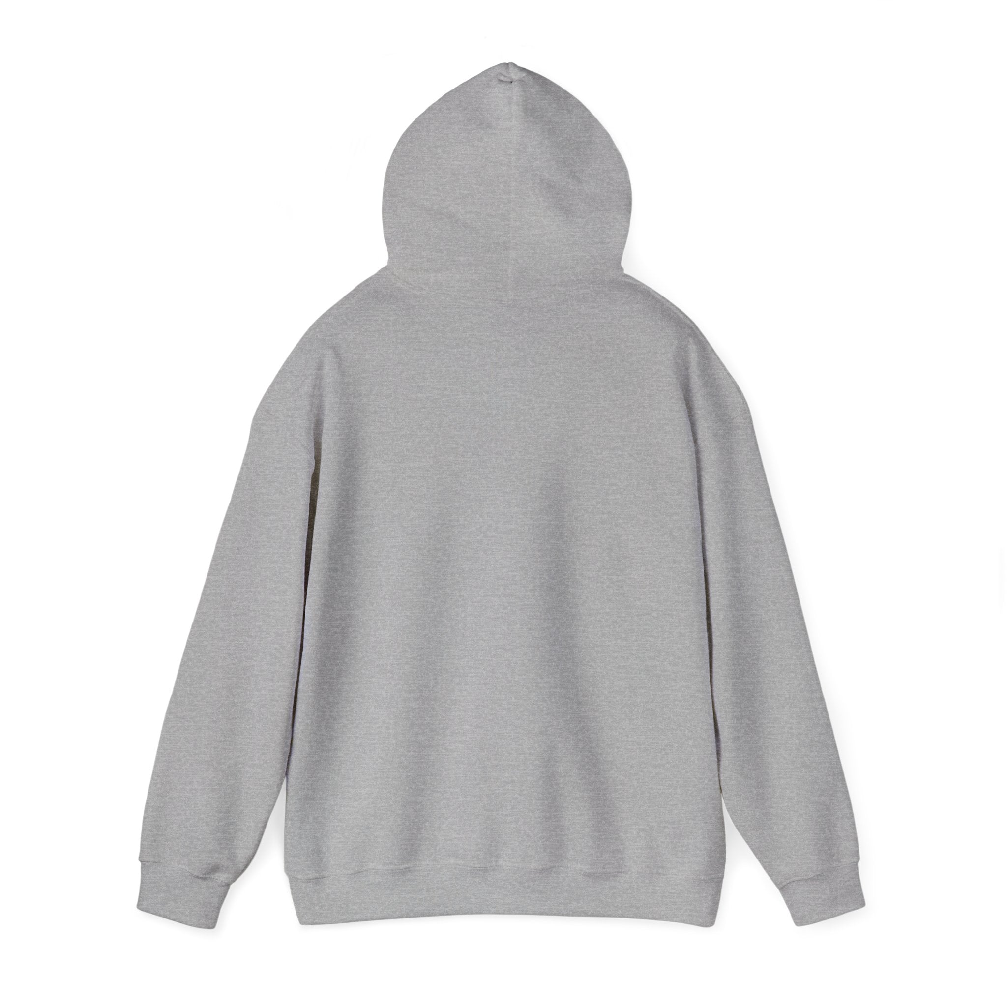 I Identify As… "Warmer than You" Hoodie – Funny Cozy Graphic Sweatshirt