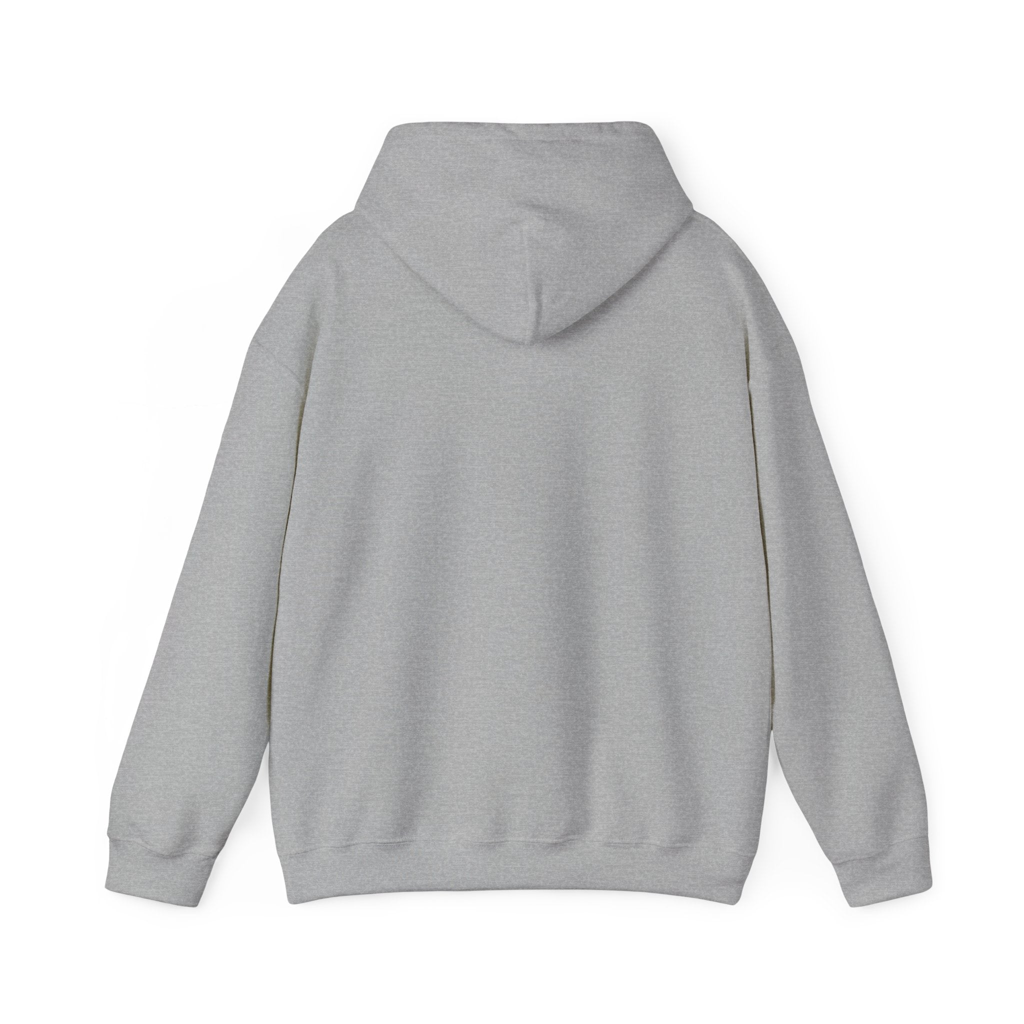 I Identify As… "Warmer than You" Hoodie – Funny Cozy Graphic Sweatshirt